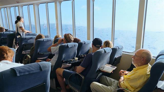 Πλακιωτάκης: Φοράτε μάσκα στους εσωτερικούς χώρους των πλοίων