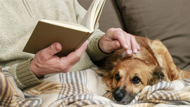 Οι καλύτερες ράτσες σκύλου για ηλικιωμένους