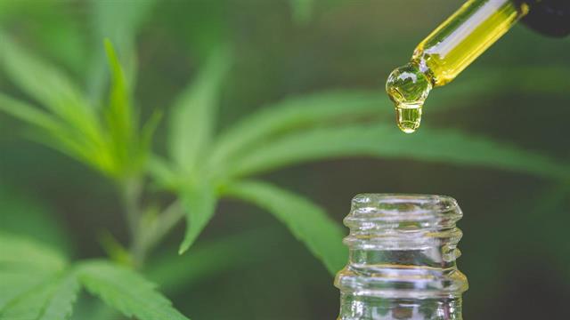 Στην Ελλάδα από το Ισραήλ τα πρώτα φυτά φαρμακευτικής κάνναβης