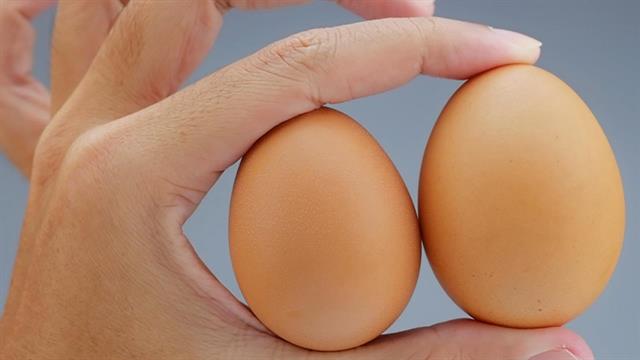 Όρχεις: Συχνότερες παθήσεις και αντιμετώπιση