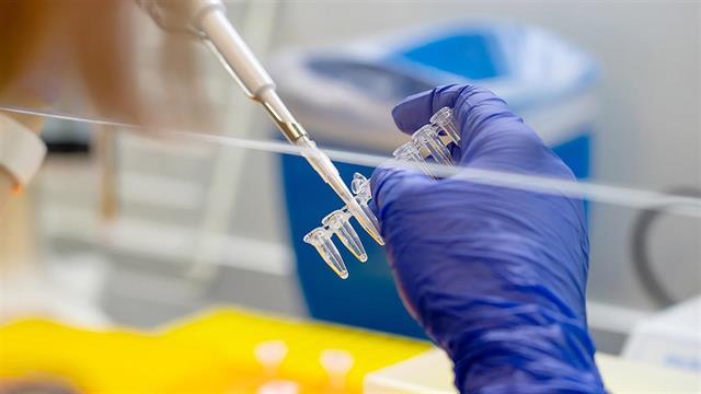 Το Tecovirimat ως θεραπεία για την ευλογιά των πιθήκων