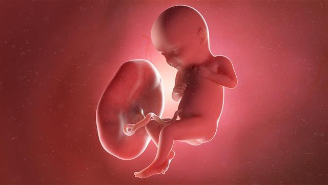 Έρευνα ανακάλυψε σχέση μεταξύ COVID στην έγκυο και μη φυσιολογικών μορφολογικών αλλαγών στον πλακούντα