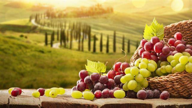 Έρευνα: ‘’Εκπληκτικά’’ αποτελέσματα στην υγεία από την κατανάλωση σταφυλιών