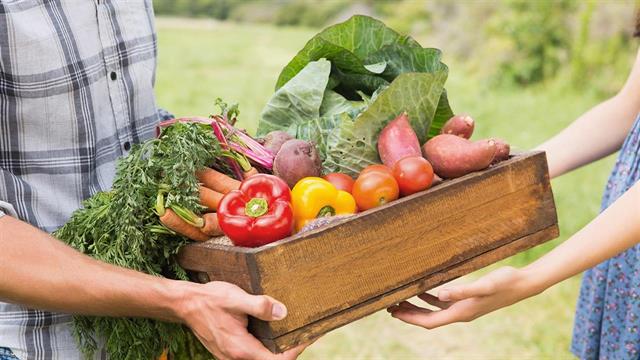 Βιολογικά προϊόντα για ευάλωτους ΑμεΑ από τον Δήμο Αθηναίων