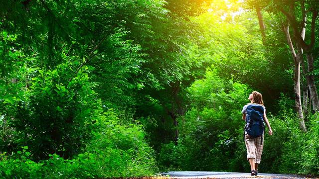 Συνταγογράφηση φύσης για ψυχική και σωματική υγεία