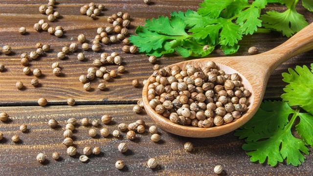 Κόλιανδρος: Ποια είναι τα οφέλη του;