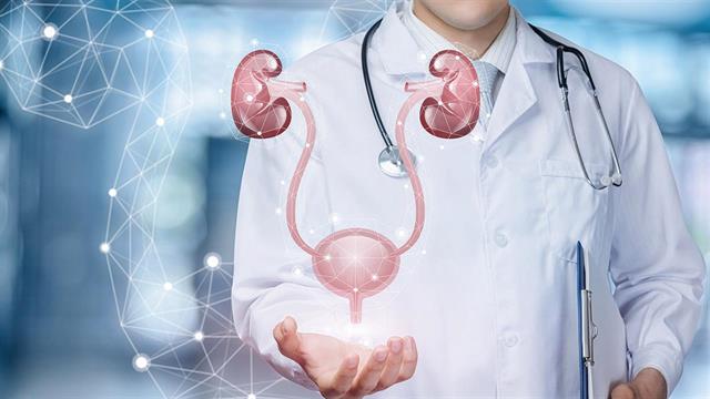 Συμπτώματα προβλημάτων με το ουροποιητικό σύστημα