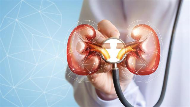 Η νεφρική λειτουργία μειώνεται με διαφορετικό ρυθμό σε άνδρες και γυναίκες