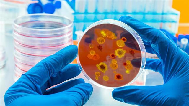 Ο μυστηριώδης πυρετός της τομάτας