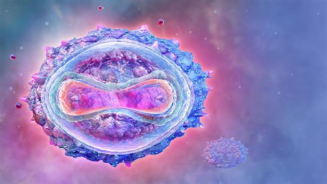 Ευλογιά των πιθήκων: μειώνονται τα κρούσματα στην Ευρώπη, αυξάνονται στην Αμερική