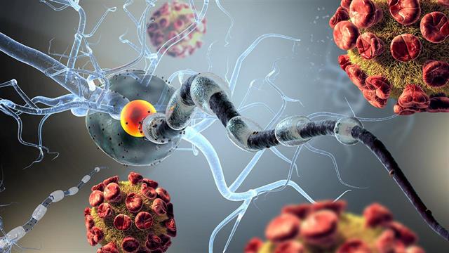 Τα αυτοάνοσα νοσήματα αυξάνουν τον κίνδυνο για καρδιοπάθεια