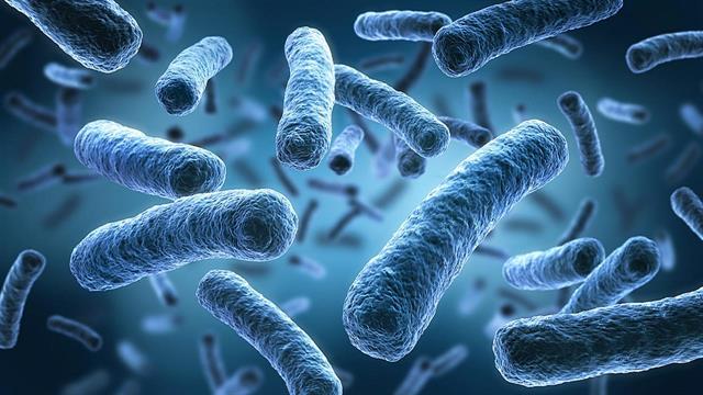 Πώς τα βακτήρια του εντέρου επηρεάζουν την υγεία