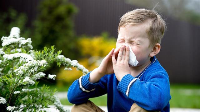 Περισσότεροι από 23 εκατομμύρια οι αλλεργικοί στη Γερμανία
