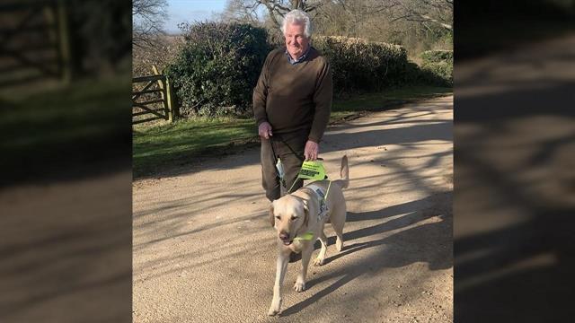 Τι κάνουν 15 σκύλοι οδηγοί τυφλών στο Μάτι;