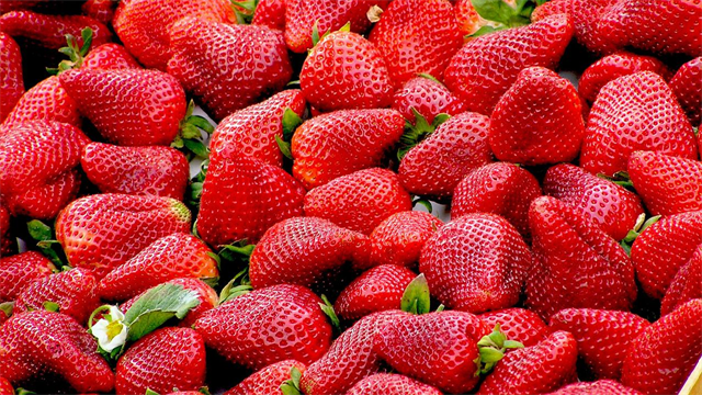 4 τροφές για υγιές δέρμα