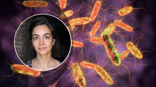 Αρχαίο DNA αποκαλύπτει πανώλη και τυφοειδή πυρετό στη Μινωική Κρήτη