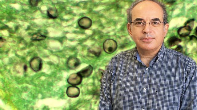 Απειλητικοί για τη ζωή μύκητες στην εποχή της πανδημίας