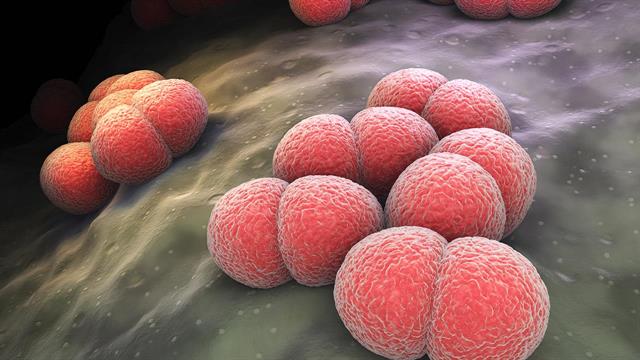 Παγκόσμια Ημέρα Ευαισθητοποίησης και Ενημέρωσης για τη Μηνιγγίτιδα