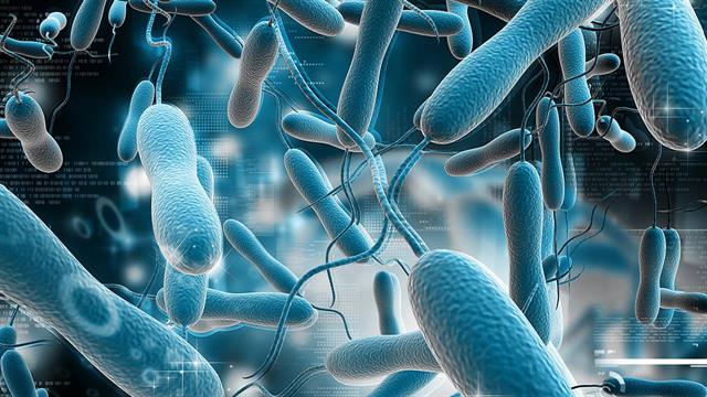 Π.Ο.Υ: μεγάλη ανησυχία για την αύξηση κρουσμάτων χολέρας