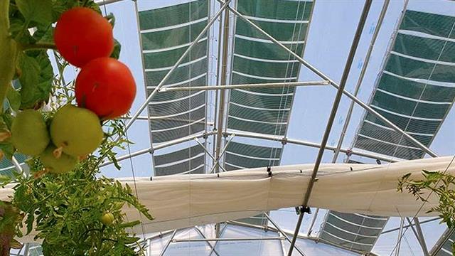 Διεθνές συνέδριο για την πράσινη εκτυπωμένη ενέργεια και τα αγροβολταϊκά