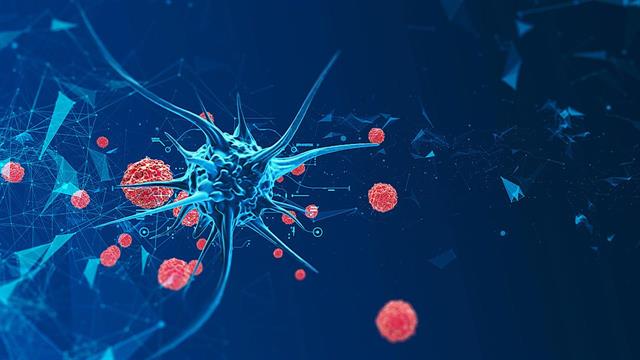 Πρωτεΐνη επιτρέπει στα καρκινικά κύτταρα να χρησιμοποιούν εναλλακτικές πηγές τροφής