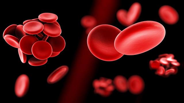 13 Οκτωβρίου 2022 - Παγκόσμια ημέρα θρόμβωσης