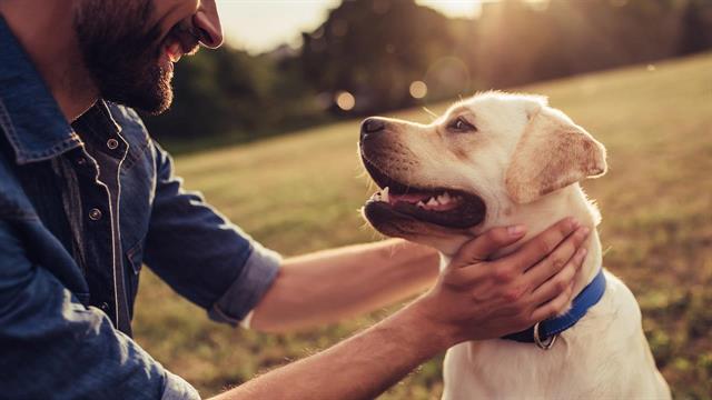 Liberty Run 2022 Βλέπουμε μαζί