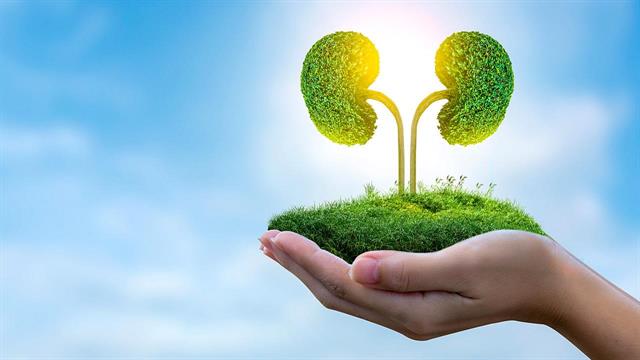 Πώς θα φροντίσουμε τα νεφρά μας