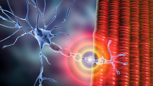 Περιφερική αρτηριακή νόσος: Ο διαβήτης έχει περισσότερες συννοσηρότητες και υψηλότερο φορτίο βλαβών [Μελέτη]