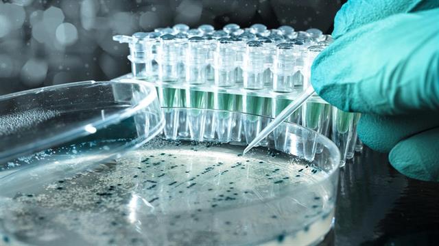 Ιαπωνία: Τεστ ανιχνεύει τον κίνδυνο για καρκίνο στο πάγκρεας μέσω… σκουληκιών