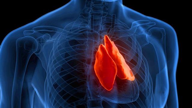 Θυμεκτομή με ελάχιστα επεμβατικές τεχνικές