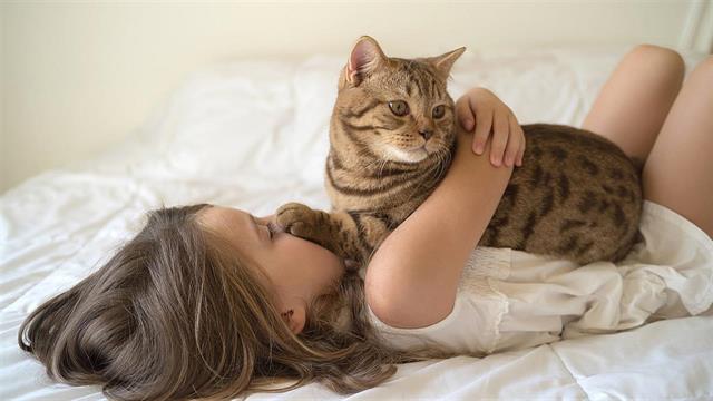 Ο ιδιαίτερος δεσμός ανθρώπου - γάτας μπορεί να ξεκίνησε 10.000 χρόνια πριν