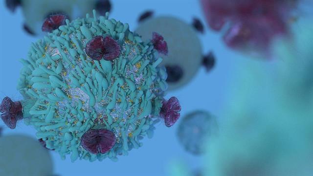 Πειραματική ανοσοθεραπεία φαίνεται υποσχόμενη για την αντιμετώπιση του πολλαπλού μυελώματος