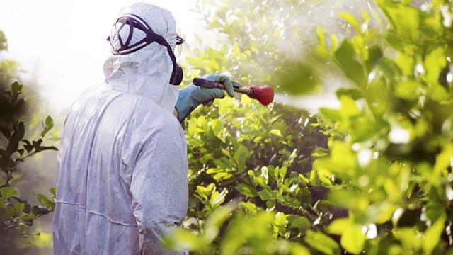 Ιός Δυτικού Νείλου: Τρίτη χειρότερη ιστορικά η φετινή χρονιά [πίνακας]