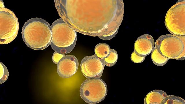 Ανακαλύφθηκε γενετική αιτία για την παιδική παχυσαρκία