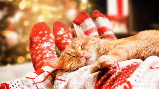 Στυτική δυσλειτουργία και γιορτές: Πώς σχετίζονται;