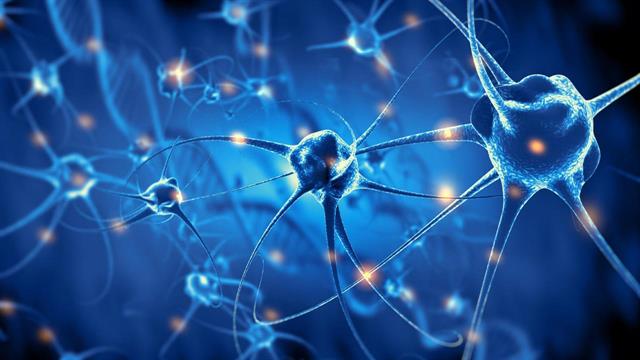 Ερευνητές εντόπισαν  τους νευρώνες που ρυθμίζουν τη θερμοκρασία στον εγκέφαλο