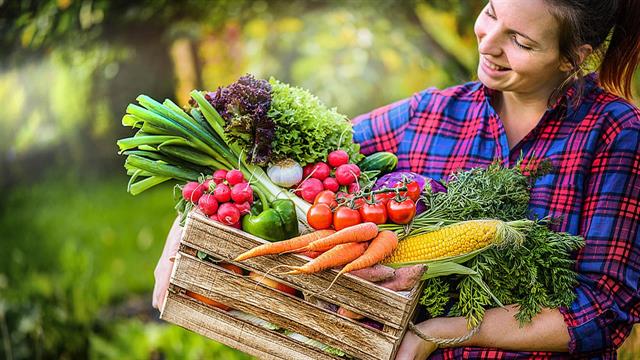 Πώς μπορούμε να μειώσουμε τον κίνδυνο εμφάνισης καρκίνου;