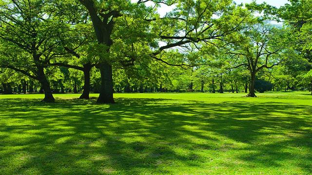 Οι χώροι πρασίνου είναι πιθανό να προστατεύουν από νοσηλεία για Alzheimer και Πάρκινσον