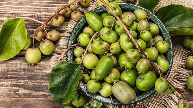 Γιαπωνέζικο φρούτο κατέστειλε την εξέλιξη καρκινικών όγκων στους πνεύμονες ποντικών