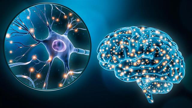 Η βαθιά εγκεφαλική διέγερση μπορεί να βοηθήσει στη θεραπεία του Alzheimer