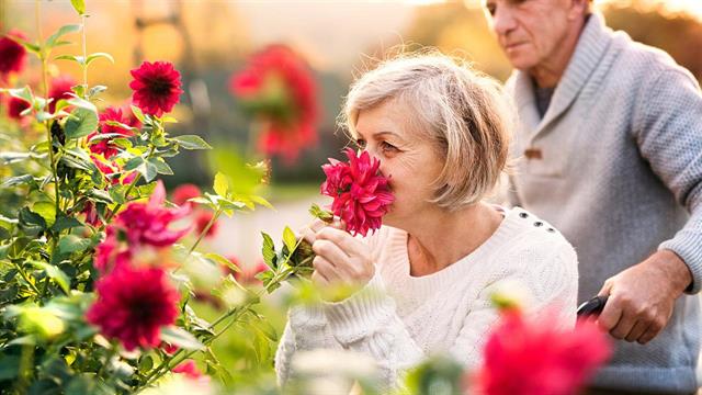 Τι δείχνει η απώλεια της όσφρησης στους ηλικιωμένους - Τι είναι η ευθραυστότητα