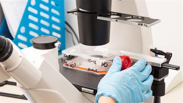 Συνεργασία Euromedica- Alfa Life για παροχή υπηρεσιών υγείας