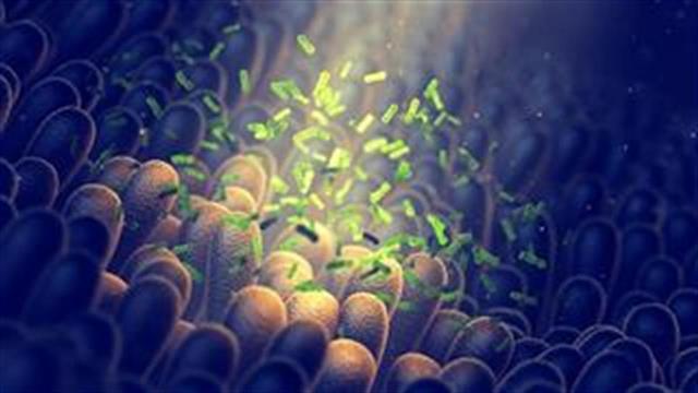 Μπορεί η νόσος Πάρκινσον να ξεκινά στο έντερο;