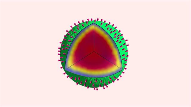 Καρκίνος: Καινοτόμο σύστημα χορήγησης φαρμάκου εμπνευσμένο από σπόρους βακτηρίων