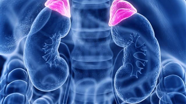 Υγεία οστών και αγγείων: Ποιο σύνδρομο την απειλεί;