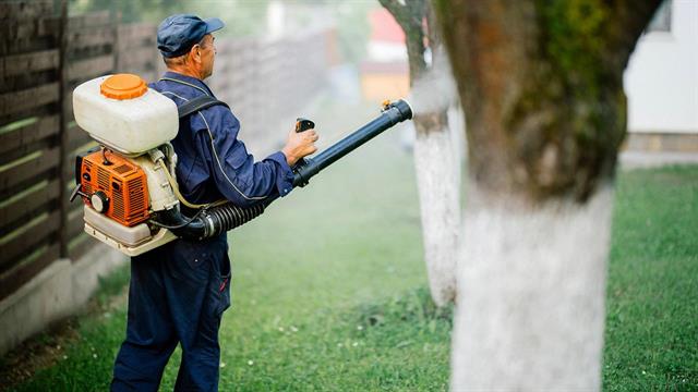 Συναγερμός από το υπουργείο Υγείας για εμφάνιση κουνουπιών που συνδέονται με Δάγκειο, Zika και Chikungunya