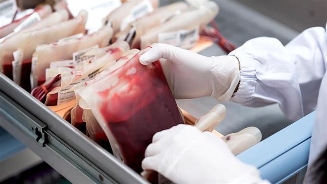 Φαρμακευτικός Σύλλογος Θεσσαλονίκης: Προσφορά μονάδων αίματος για τους τραυματίες της τραγωδίας στα Τέμπη