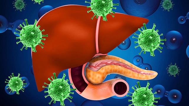 CDC: εξέταση για ηπατίτιδα Β σε όλους τους ενηλίκους