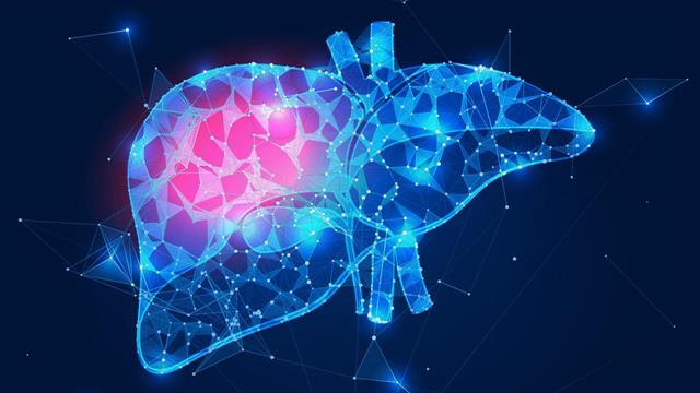 Νέο αντίσωμα για τον καρκίνο του ήπατος